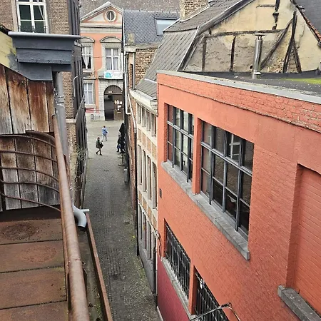 Maison Classee Dans Le Centre Historique De